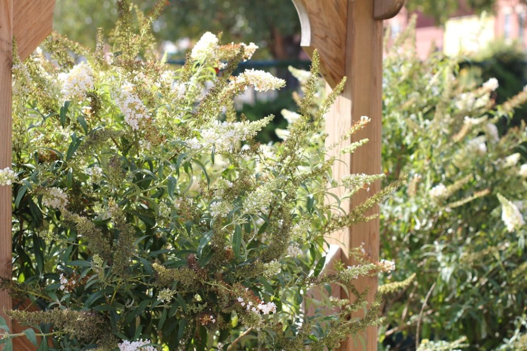 Photo Floral Arch