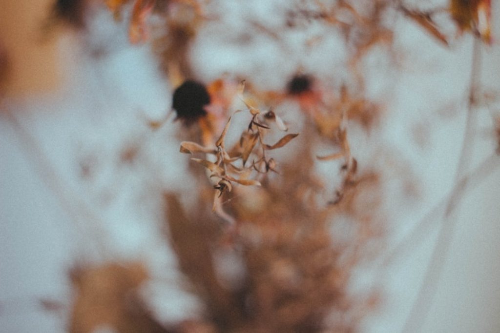Photo Autumnal Bouquet