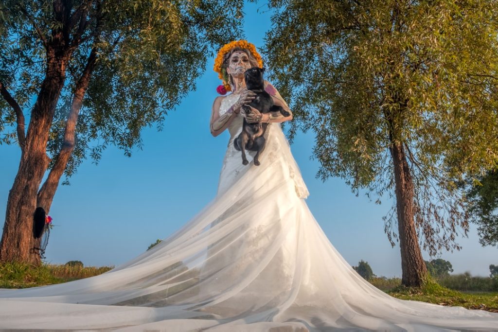 Photo Wedding Dress Trends