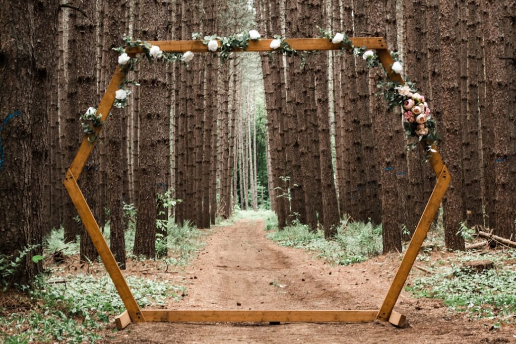 Photo Eco-Friendly Wedding Ideas