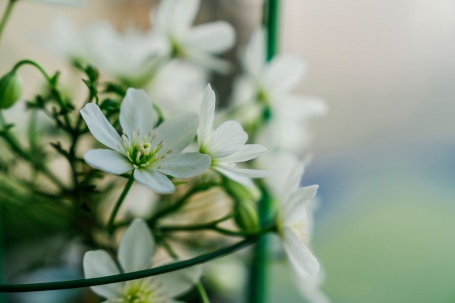 Spring wedding themes
