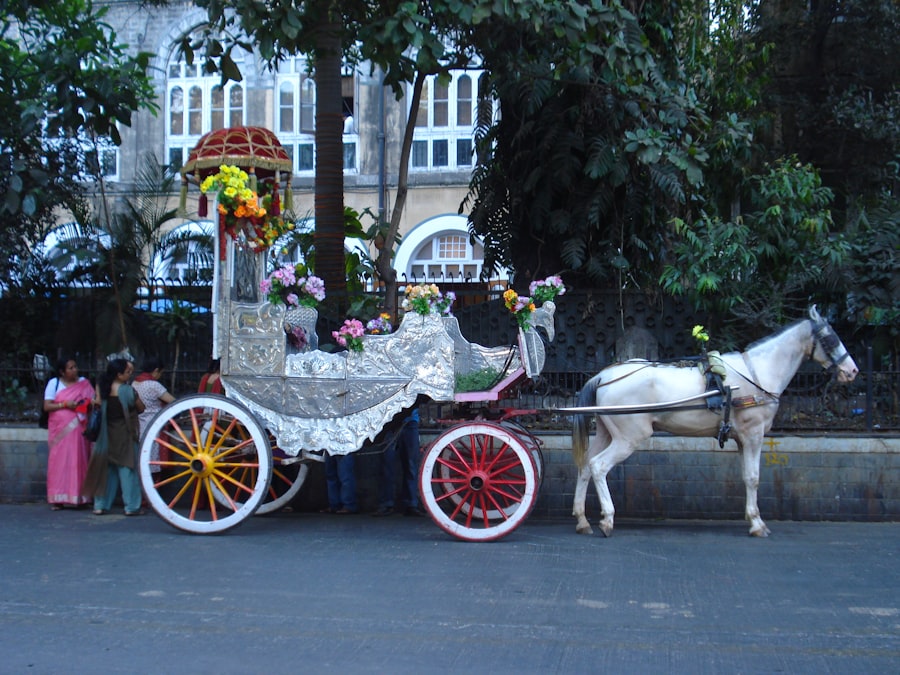 Photo wedding day transportation