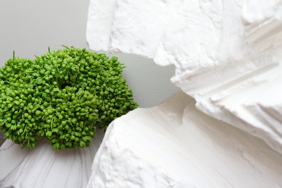 Photo Eco-friendly wedding ideas